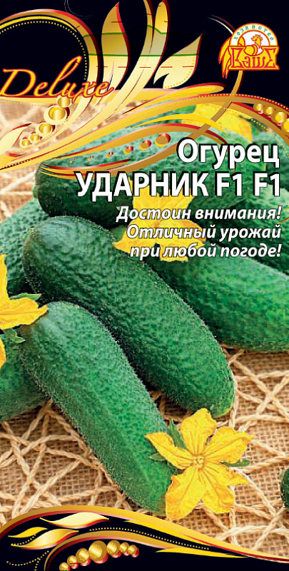 Огурец Ударник F1 (Селекция "ВХ") 0,25 гр цв.п.